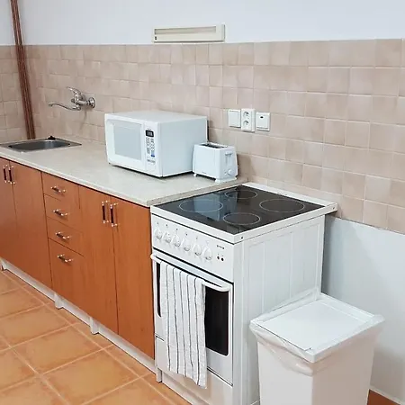 Garsonka Appartamento Neslovice